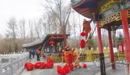 红灯笼迎新春 拉萨街头年味儿浓