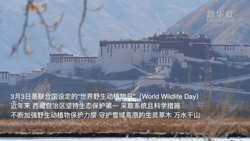 西藏：把大自然留给野生动物