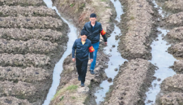 新一轮全国耕地后备资源调查评价工作正在进行——增加耕地，哪些资源可用？