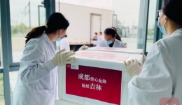 375万毫升四川“热血”先后驰援吉林上海