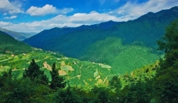 不负如许春色，带你云赏四川黑水美景！