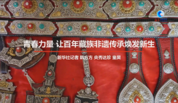 青春力量 让百年藏族非遗传承焕发新生