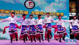 皖藏携手诗“话”幸福西藏建设成果