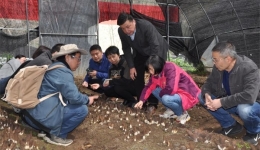 全国13位专家把脉问诊 国家食用菌产业技术体系专家组在甘孜州调研指导食用菌产业发展