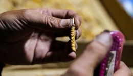 China's Tibet basically builds all-inclusive Tibetan medicine service system