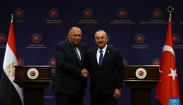 Türkiye, Egypt to work closely on issues of Syria, Libya: Turkish FM