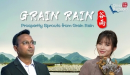 中国热词：谷雨里的暖意和生机