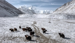 China emphasizes glacier, frozen soil protection on Qinghai-Tibet Plateau in new draft law