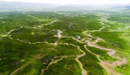 China's Qinghai sees growth in green coverage in 2022