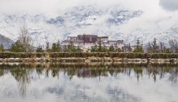 Exhibition displays diversity, charms of artifacts related to Tibet