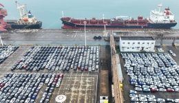 Russian scholars say Xi Jinping's economic thought offers wisdom to global development