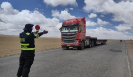 “高原精灵”藏羚羊年度迁徙产仔季开启