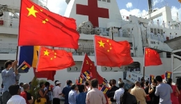 Role of overseas Chinese stressed in promoting global peace, development