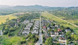 以莫干山之名 赴中国品牌之约——2023世界品牌莫干山大会看点纷呈