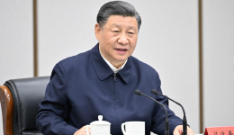 Xi Focus: Xi inspects Xiong'an New Area, urges new progress for 