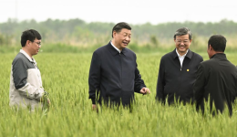 Xi visits city of Cangzhou in north China's Hebei Province
