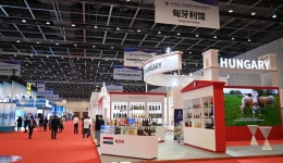 Central, Eastern European exhibitors embrace China's consumption upgrade