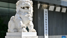 China Focus: China establishes national financial regulatory administration