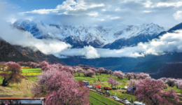 More than 1 million visit sites during May holiday