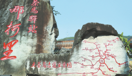 A thirst for tea culture