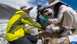 China launches 2023 scientific expedition to Mount Qomolangma