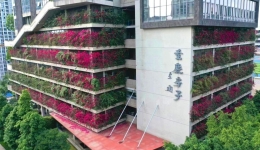 更环保的城市、更绿色的产业、更低碳的生活——多地推动减碳实践观察