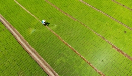 China ramps up efforts to reduce grain losses