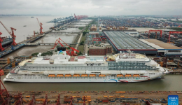 China's first home-grown cruise ship undocked in Shanghai
