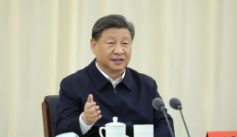 Xinhua Headlines-Xi Focus: Xi urges sustained efforts to curb desertification