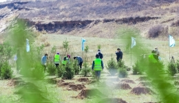 Turning deserts into forests: How China is helping the world go green