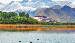 Forum highlights resounding success of Tibet autonomous region's development