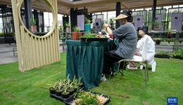 “千万工程”调研行丨感受“花”样生活——浙江柯桥乡村走访见闻