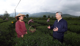 China's anti-graft chief stresses boosting disciplinary inspection, supervision