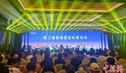 云南迪庆建成中国最大松茸交易市场