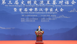 Chinese vice president addresses civilization and sinology forum