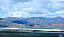 西藏措美：草原天地阔 万物任徜徉