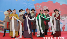 西藏科博馆举行第二届干部职工运动会