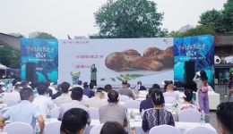 11项活动先后开启 2023中国雅江松茸美食文化季拉开帷幕