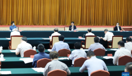 China's top political advisor urges solid efforts in investigation, research work