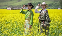 盛夏七月：川西高原赏万亩油菜花海