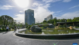 China Focus: Chengdu FISU World University Games a new engine for urban development