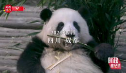 时政微纪录丨习近平的大运会时间