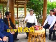 实干笃行｜习近平总书记的“移动办公室”