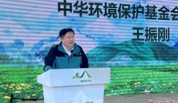 中国多家企业13年为青藏高原“植绿”两万亩