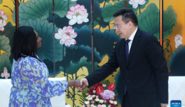 Xinhua president meets AP counterpart