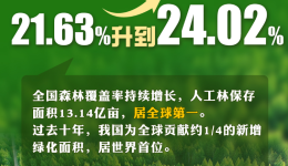 首个“全国生态日”来了！一组数据带你看美丽中国新画卷