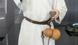 China Focus: China's robot industry spurs world economic recovery