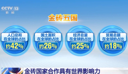 我国与金砖国家经贸合作成绩亮眼 具有世界影响力