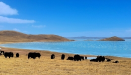 China's Sanjiangyuan National Park releases master plan for comprehensive protection