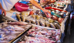 农业农村部：加大对海洋水产品核污染风险监测力度